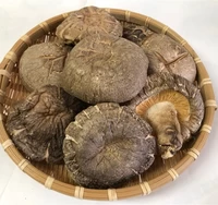大分県産乾燥椎茸　ステーキ香菇125g サムネイル