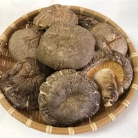 大分県産乾燥椎茸　ステーキ香菇125g サムネイル