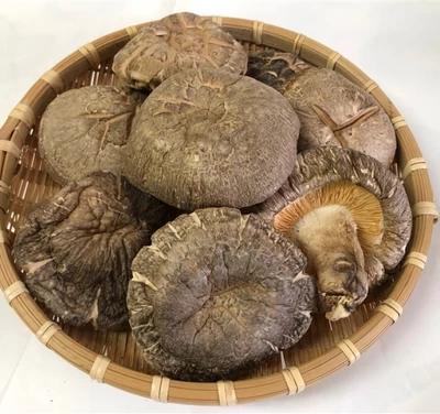 大分県産乾燥椎茸　ステーキ香菇125g