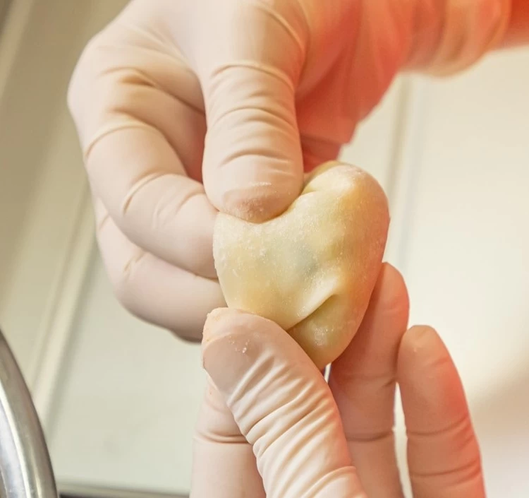 寺田さんちの極み餃子『痺れ』