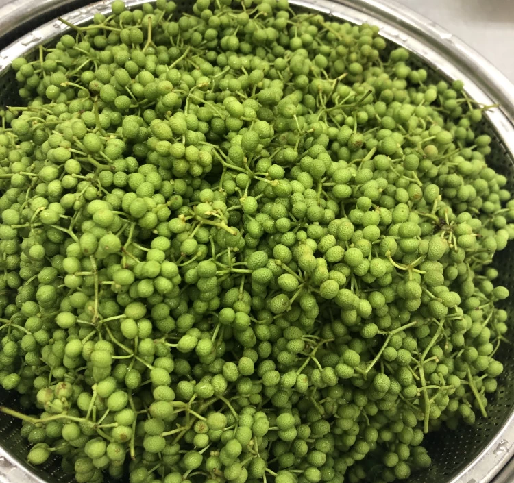 寺田さんちの極み餃子『痺れ』