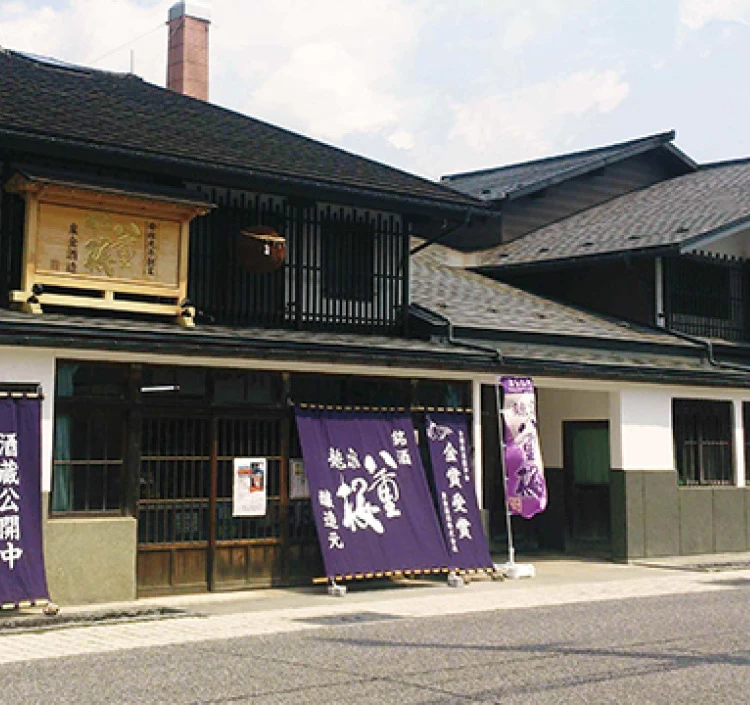 龍泉 八重桜 セレクション300