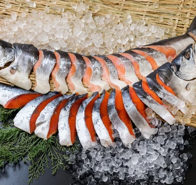 【氷蔵藁製法】天然無添加　紅白鮭姿切身　約2.0kg