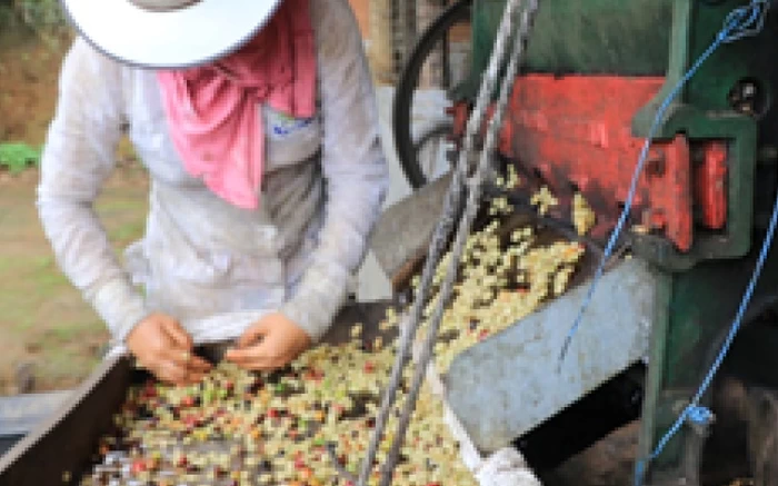 女性生産者たちのコーヒーセット 100g × 3種 珈琲（豆／粉）300g ウーマンズコーヒー 【メール便対応】