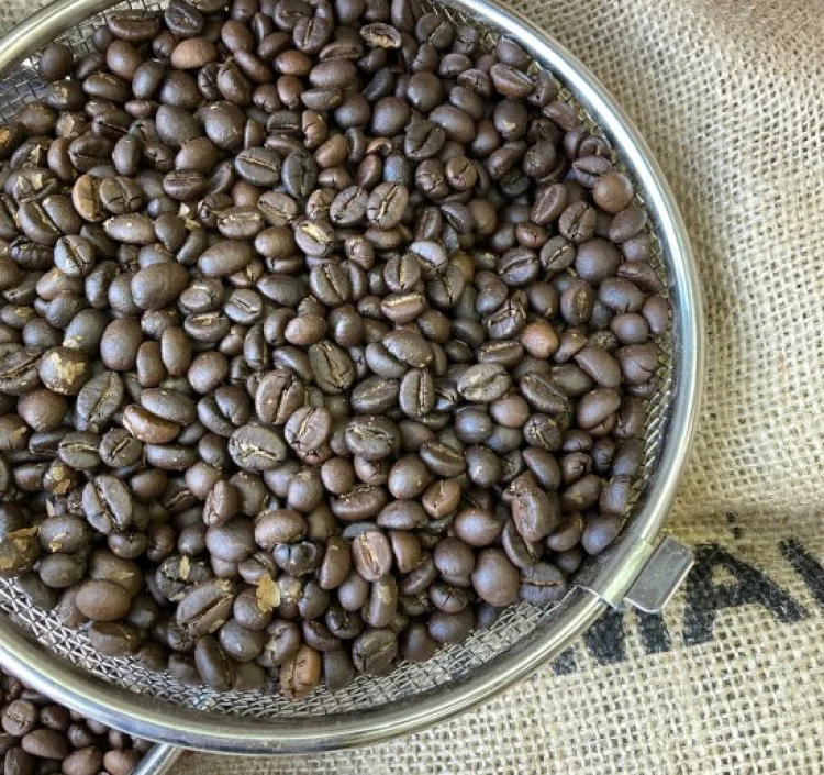 珈琲　スマタン農園ホセさんのカネフォラコーヒー ( 生産国：中米グァテマラ）中煎り　100g