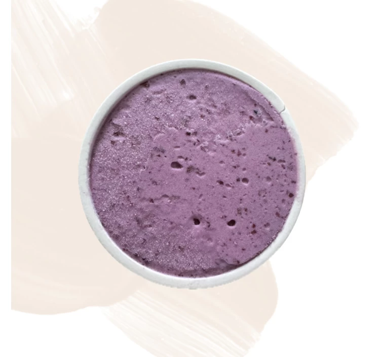 能登ブルーベリービネガージェラート(4個)