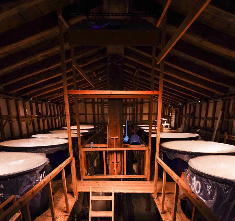 南部美人スーパーフローズン 瞬間冷凍 純米大吟醸 生原酒 300ml