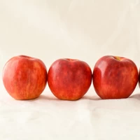 飛騨りんごのアップルパイ　6個入り サムネイル