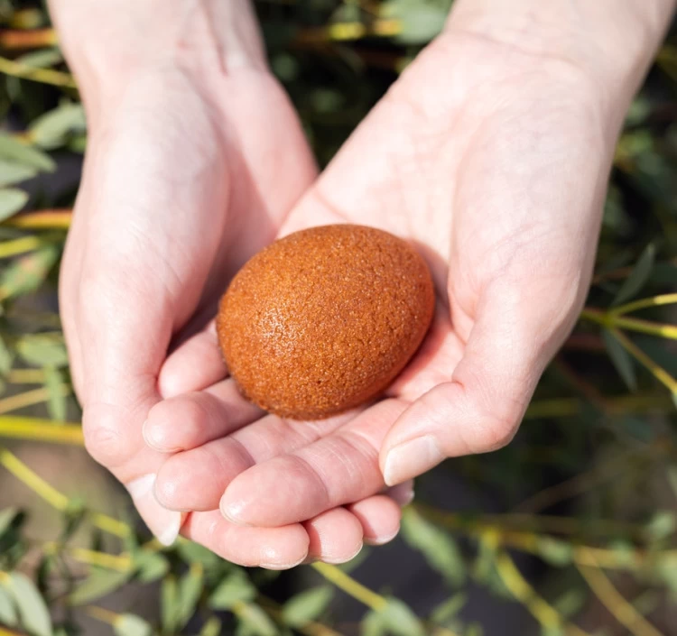 フィナンシェ(5個入り)