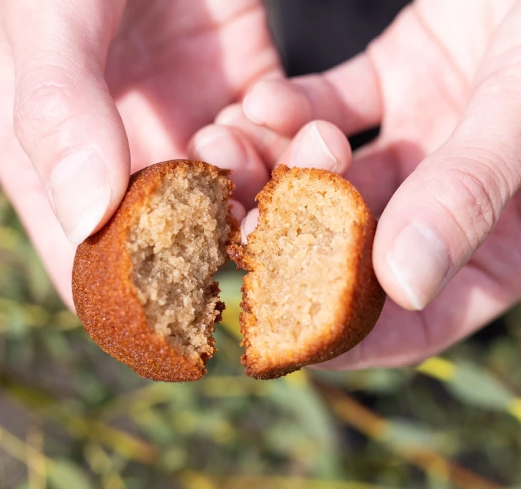 フィナンシェ(5個入り)