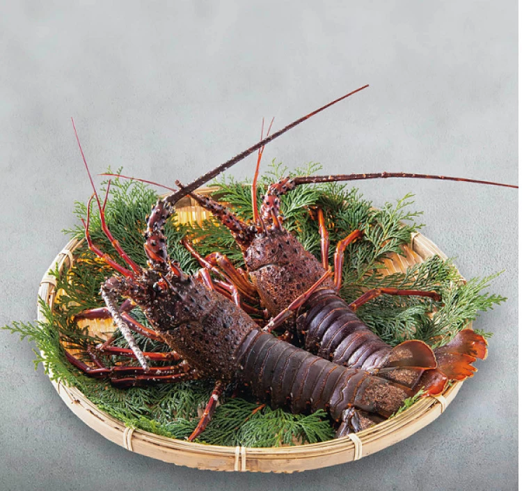 伊勢海老だし 5パック入