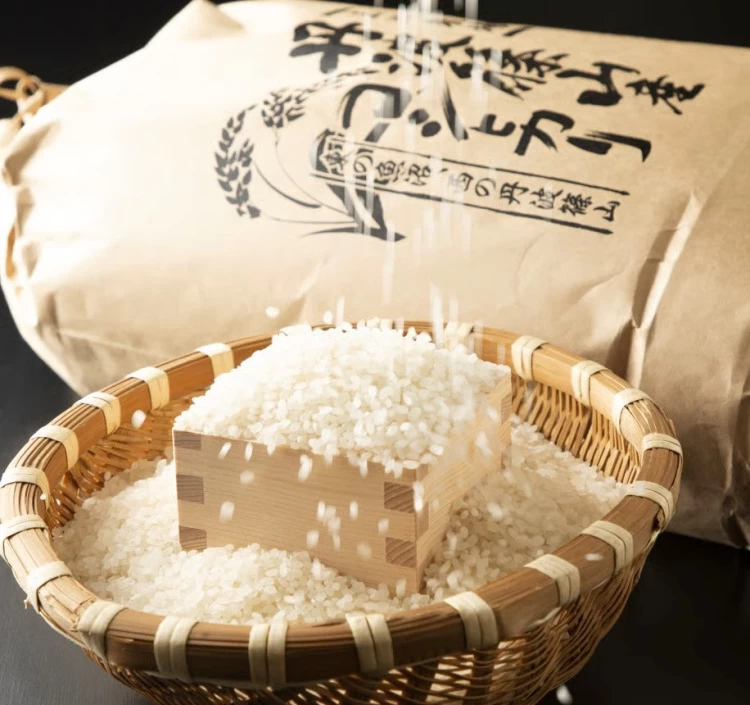 2025年新米 丹波コシヒカリ