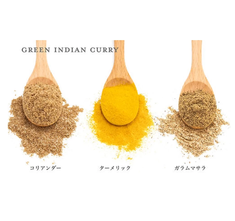本格スパイスカレー　グリーンインドカレー「なまけものcurry」