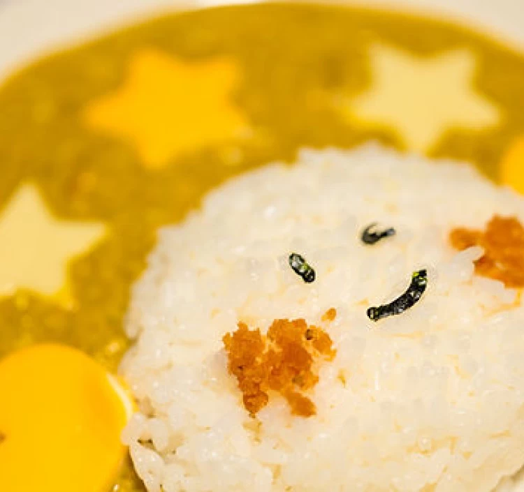 本格スパイスカレー　グリーンインドカレー「なまけものcurry」