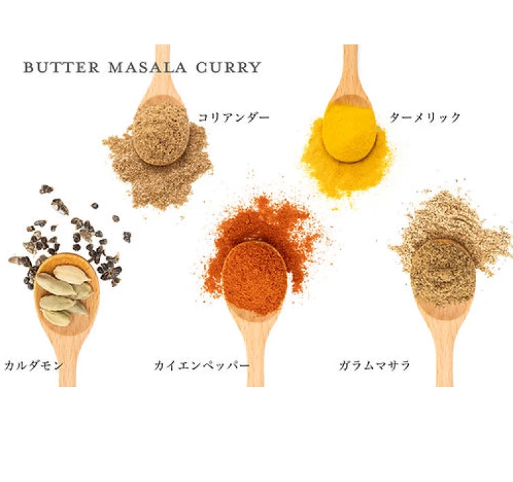 本格スパイスカレー バターマサラカレー「なまけものcurry」