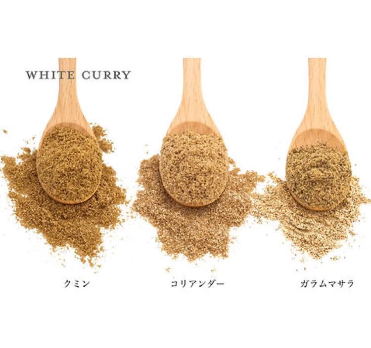 本格スパイスカレー ホワイトカレー「なまけものcurry」