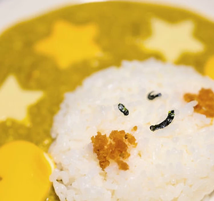 2種の本格グルテンフリースパイスカレーキット「なまけものcurry」