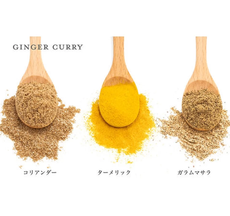 4種のグルテンフリー本格スパイスカレーキット「なまけものcurry」
