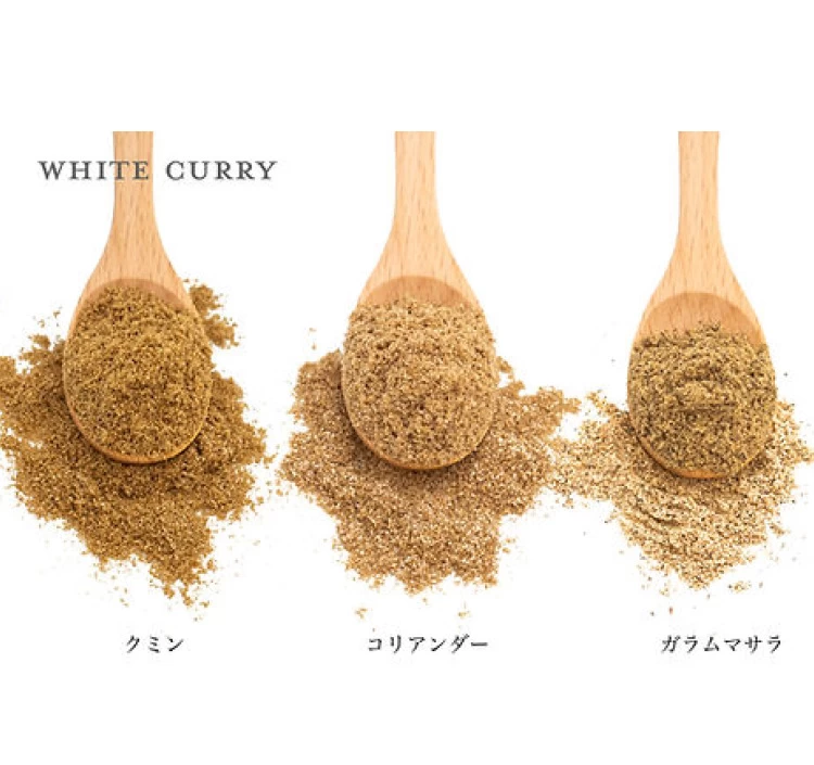 4種のグルテンフリー本格スパイスカレーキット「なまけものcurry」