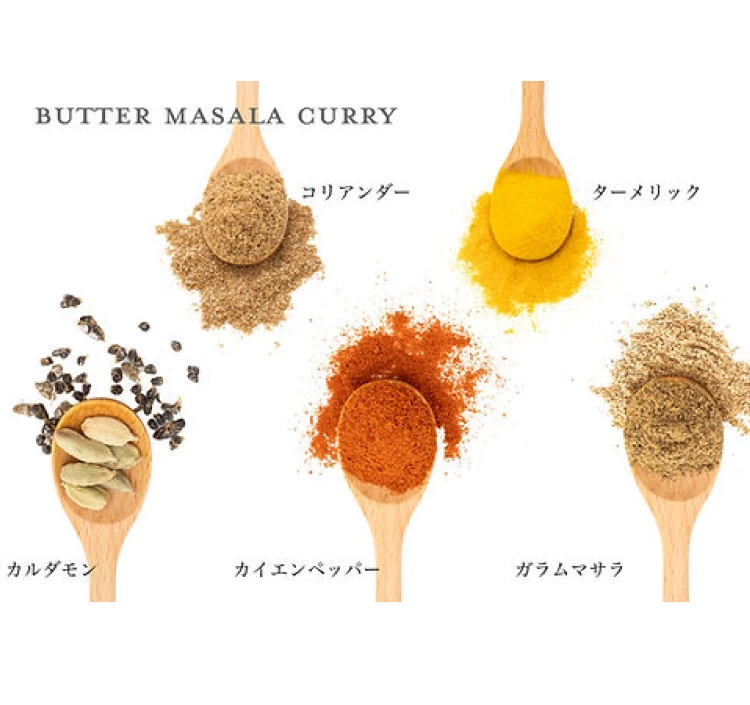 4種のグルテンフリー本格スパイスカレーキット「なまけものcurry」