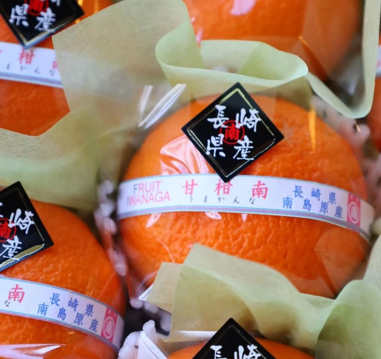 冬みかん　甘柑南（うまかんな）