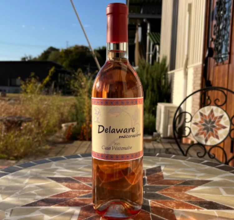 Delaware macerazione 2025