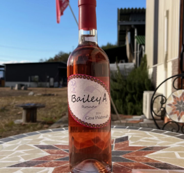 Bailey A Rosado 2024