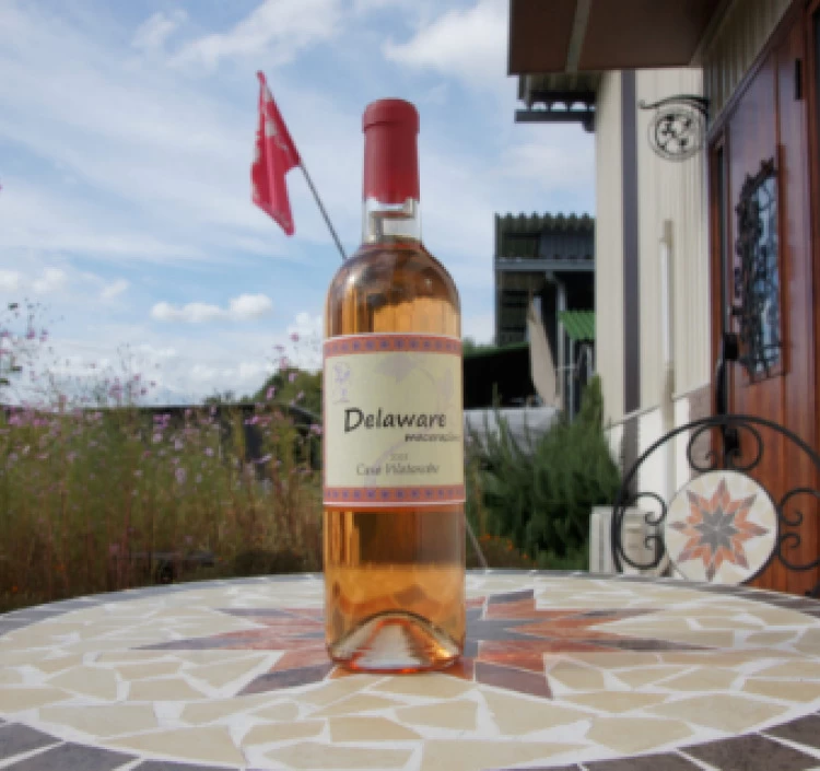 Delaware macerazione 2024