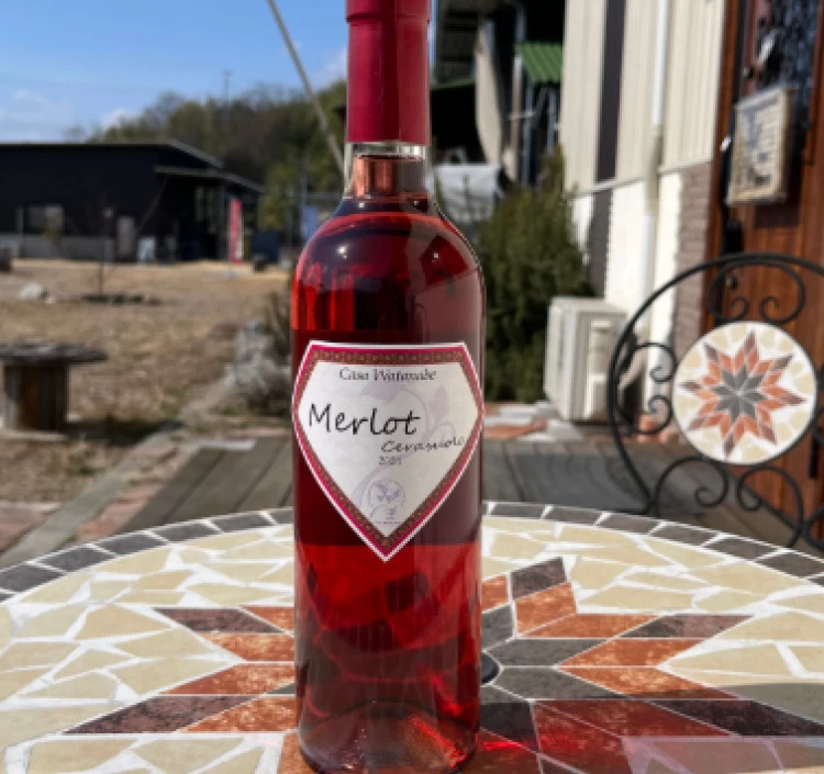 Merlot Cerasuolo 2024