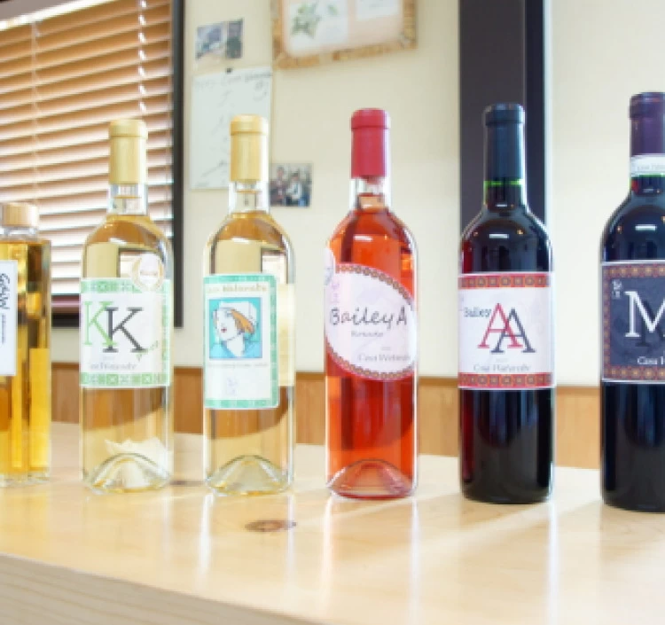 Casa Watanabeおすすめ6本セット (2025初夏)