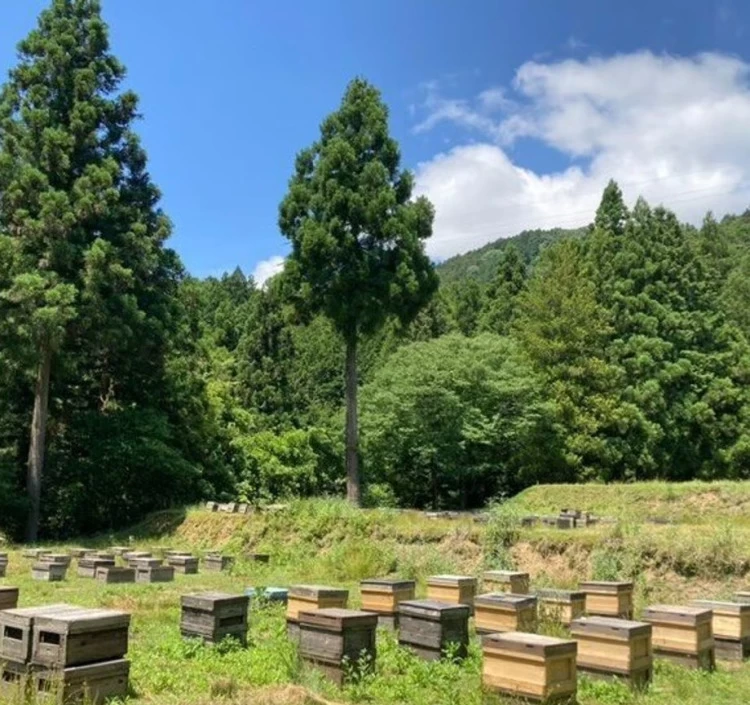 5月に採れた百花はちみつ