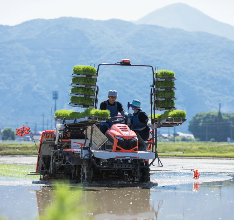 ギフト2個セット（いろまめ、おちゃまめセット）