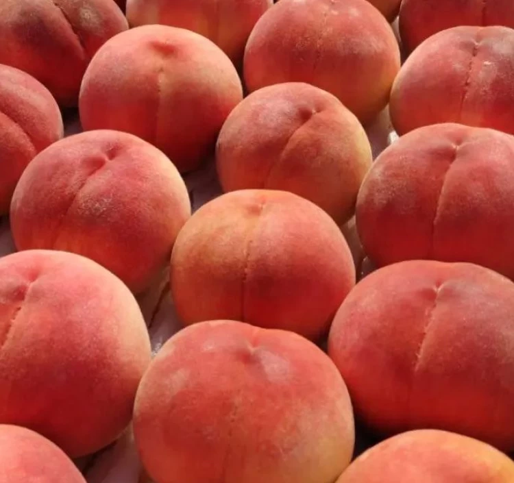 あかつき 3Kg箱（8～12個入）×1箱