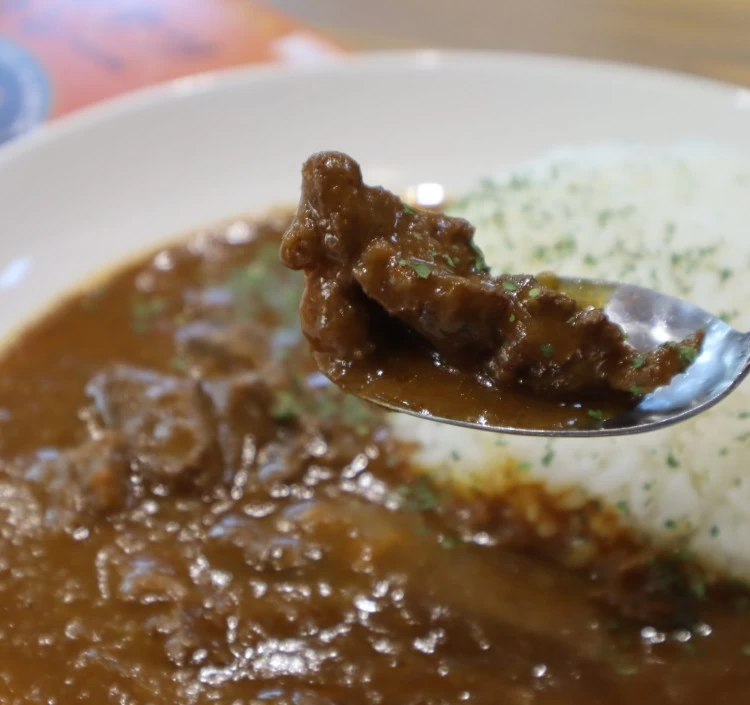 【☆由利鉄40周年記念☆】Web限定☆特別価格！カレー10個セット（ユリテツカレースペシャル5個・おばこカレー5個）