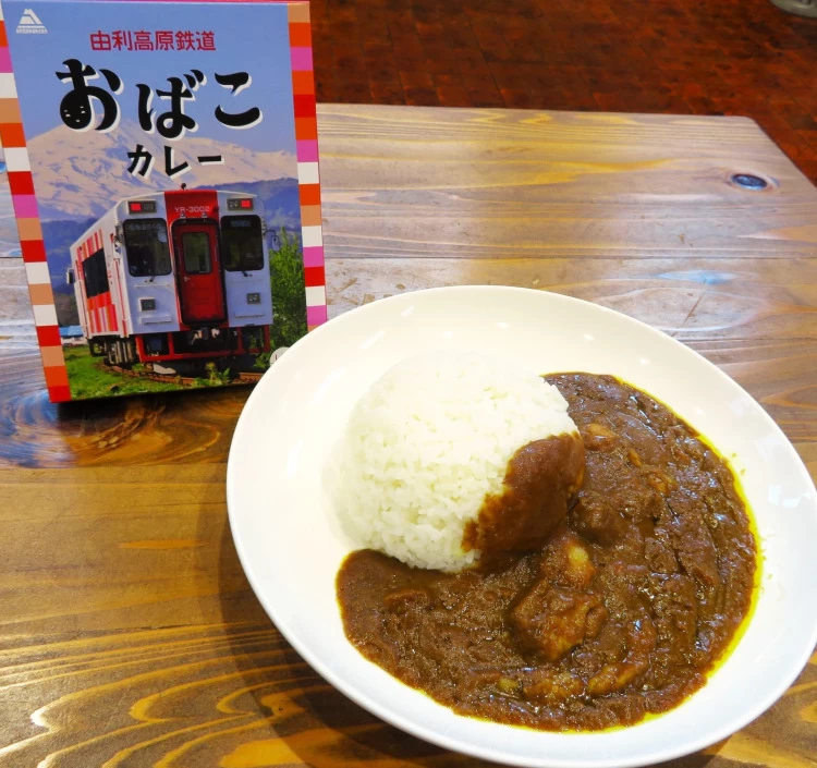 【☆由利鉄40周年記念☆】Web限定☆特別価格！カレー10個セット（ユリテツカレースペシャル5個・おばこカレー5個）