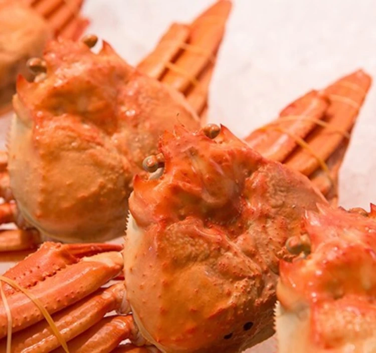 【送料無料】 境港産 紅ズワイガニ(紅ずわいがに) 大サイズ ボイル済