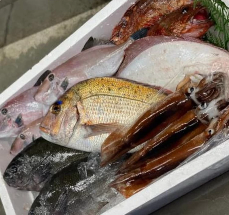 【送料無料】水産の街　境港　山陰日本海の仲買人直送‼　今が旬オススメ鮮魚セット　