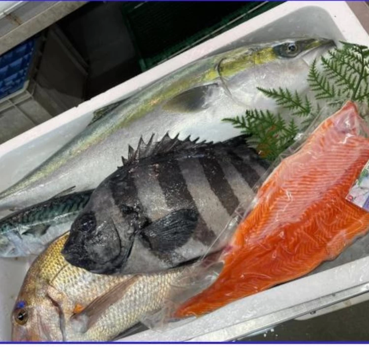 【送料無料】水産の街　境港　山陰日本海の仲買人直送‼　今が旬オススメ鮮魚セット　