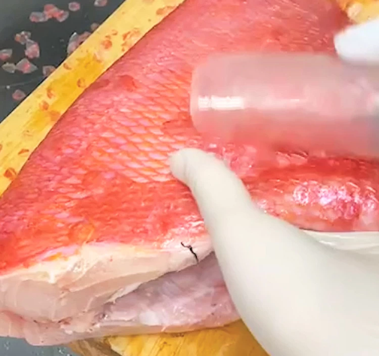 伊豆稲取 元祖!金め鯛味噌漬け【山長水産】本さわら・金め鯛味噌漬(各2切)