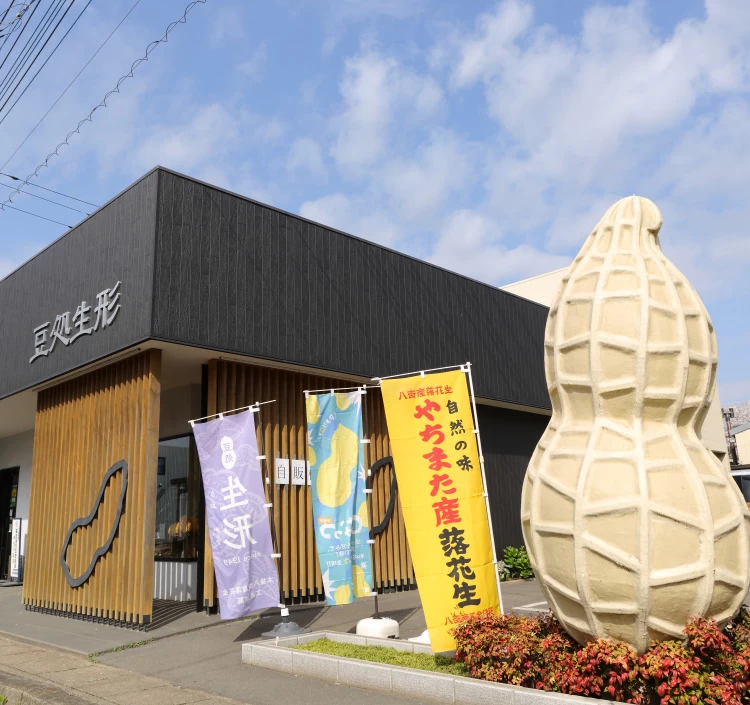 八街産/煎りざや落花生(中手豊) 250g袋入り