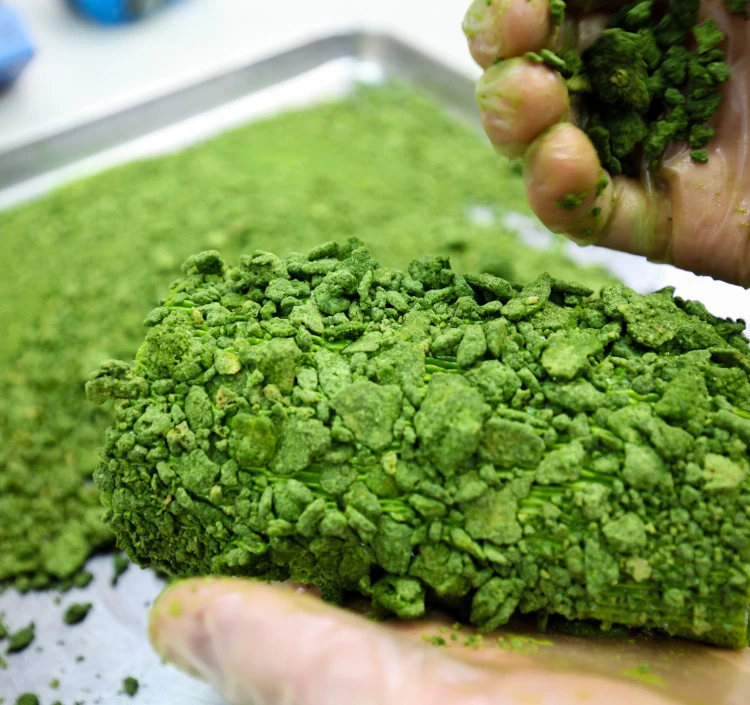 伊勢抹茶ガトーコンフィチュール（カット　わっぱ入り）