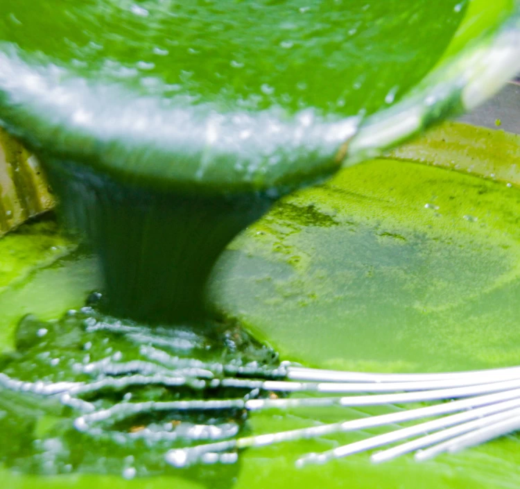 伊勢抹茶ガトーコンフィチュール（カット　わっぱ入り）