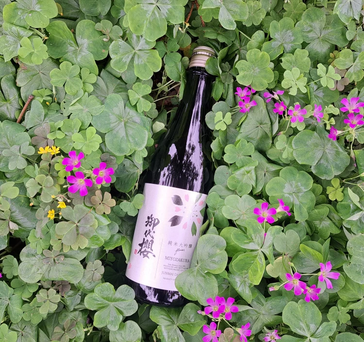 御代櫻 純米大吟醸 flower 720ml