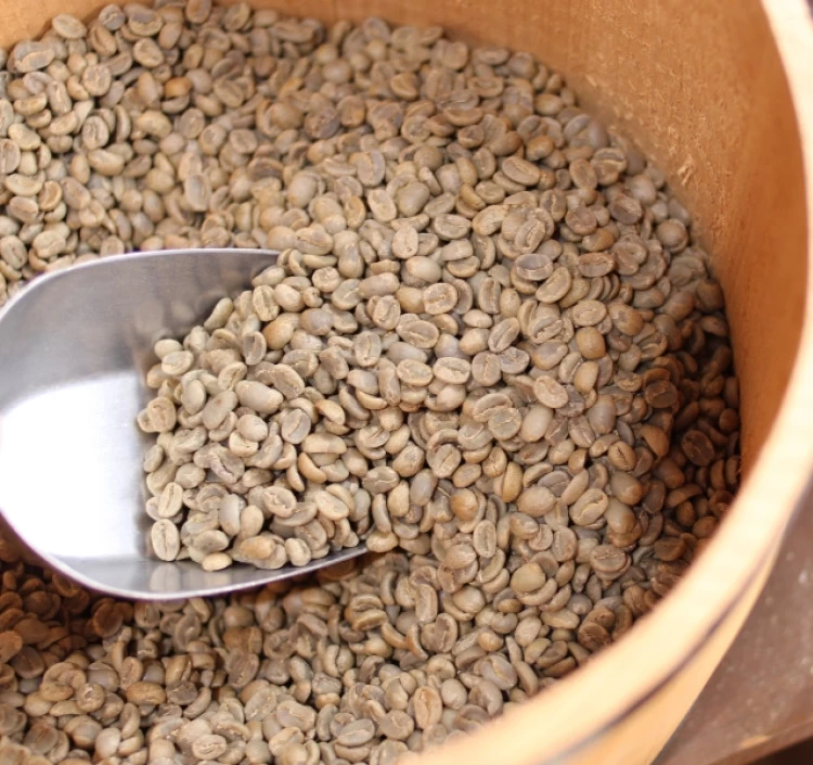 ボトルコーヒーギフト 無添加 無糖 2本 ドリップコーヒー 10g × 6袋 詰め合わせ【ギフト用】