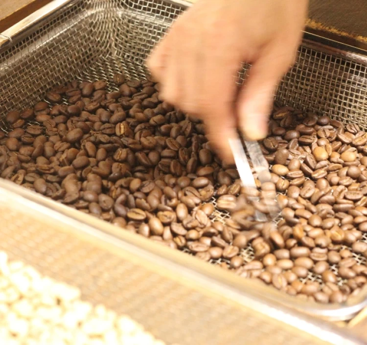 ボトルコーヒーギフト 無添加 無糖 2本 ドリップコーヒー 10g × 6袋 詰め合わせ【ギフト用】