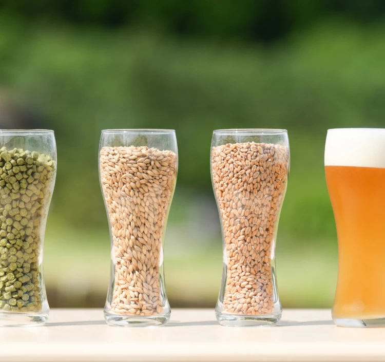 クラフトビール 「薩摩川内ヴァイツェン」3本セット（手提げ箱入り）
