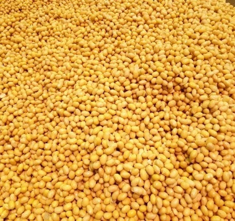 マルニ麦麹生みそ1㎏