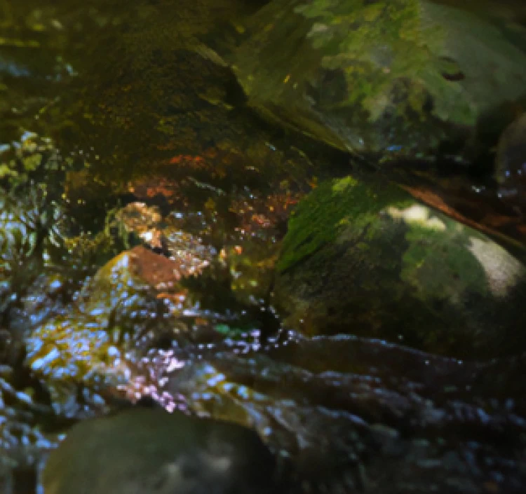 ヤマキさしみ醬油360ml