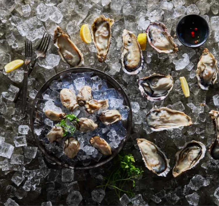【期間限定】生食用 生牡蠣セット | hiroshima oyster365 広島県宮島産 (殻付き生牡蠣9個 むき牡蠣200g レモン)