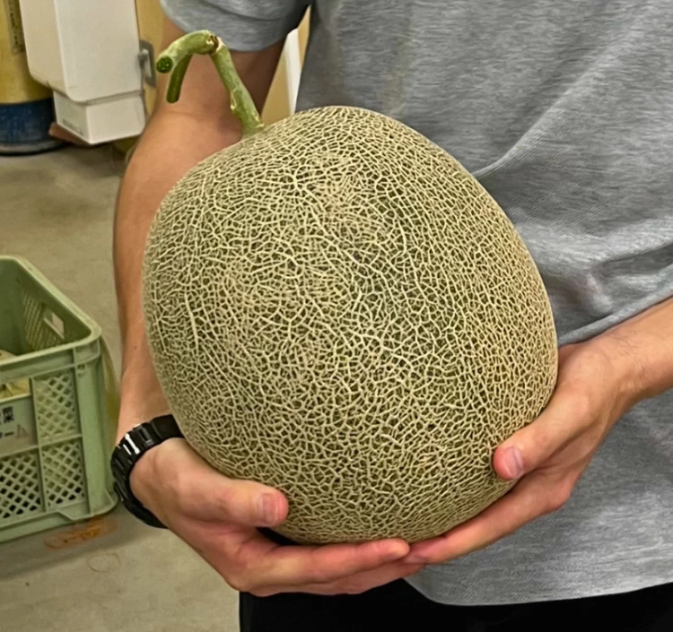 長崎産 超特大メロン「愛菜グリーン」 青肉 3.5kg前後×1玉【常温】